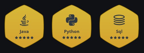 HackerRank Golden Badges